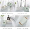 Brush & Paste Diatomite Holder