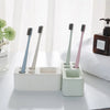 Brush & Paste Diatomite Holder